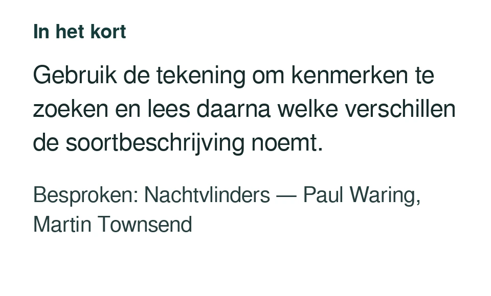 Gebruik de tekening om kenmerken te zoeken en lees daarna welke verschillen de soortbeschrijving noemt. Besproken: Nachtvlinders — Paul Waring, Martin Townsend.