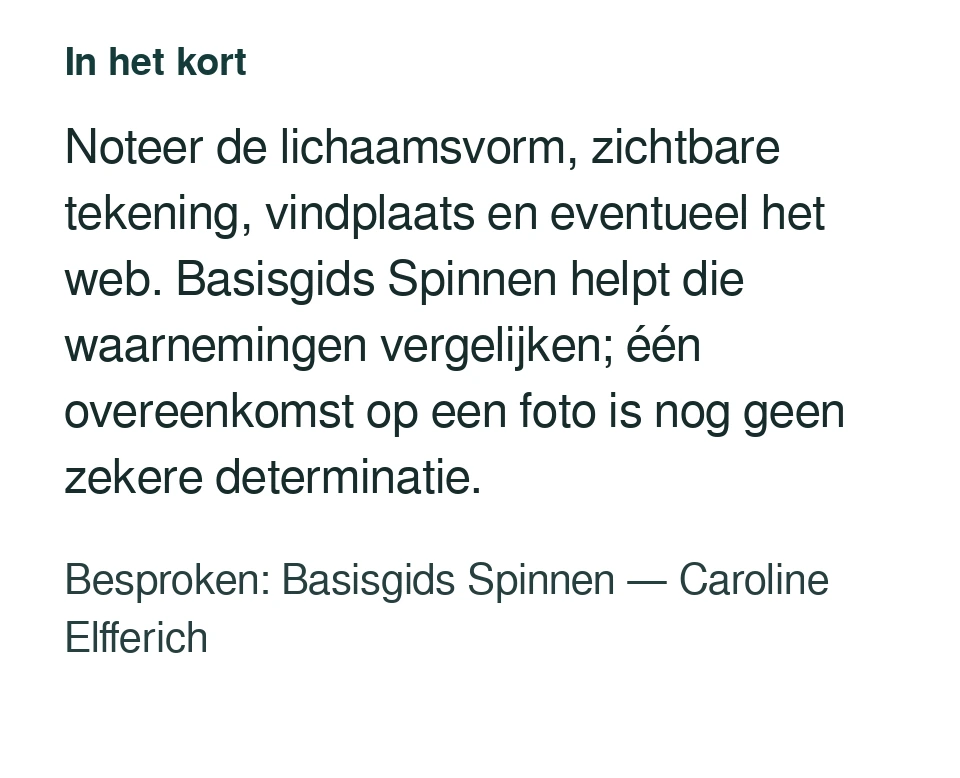 Noteer de lichaamsvorm, zichtbare tekening, vindplaats en eventueel het web. Basisgids Spinnen helpt die waarnemingen vergelijken; één overeenkomst op een foto is nog geen zekere determinatie. Besproken: Basisgids Spinnen — Caroline Elfferich.